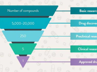 The Importance of Functional Groups in Drug Design and Discovery